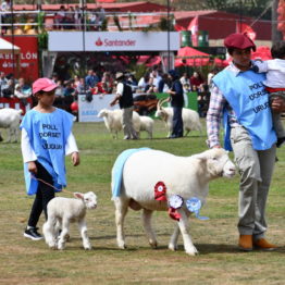 Fotos Expo Prado 2018 - Día 11 (91)