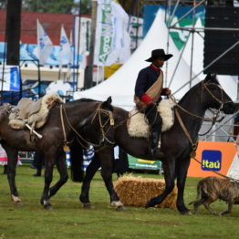 Fotos Expo Prado 2018 - Día 11 (94)