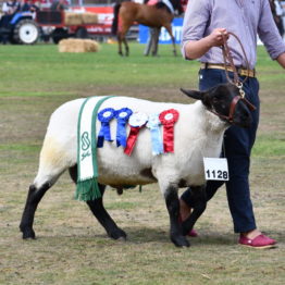 Fotos Expo Prado 2018 - Día 11 (96)