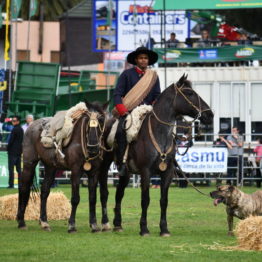 Fotos Expo Prado 2018 - Día 11 (97)