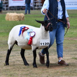 Fotos Expo Prado 2018 - Día 11 (97)