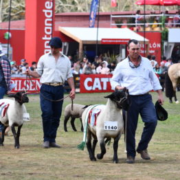 Fotos Expo Prado 2018 - Día 11 (98)