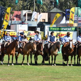 Fotos Expo Prado 2018 - Día 12 (14)