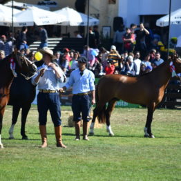 Fotos Expo Prado 2018 - Día 12 (16)