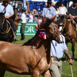 Fotos Expo Prado 2018 - Día 12 (19)