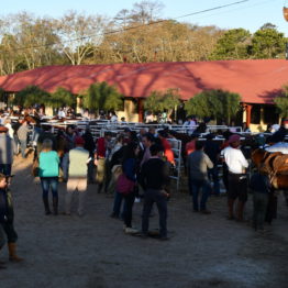 Fotos Expo Prado 2018 - Día 12 (37)