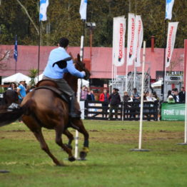 Fotos Expo Prado 2018 - Día 12 (65)