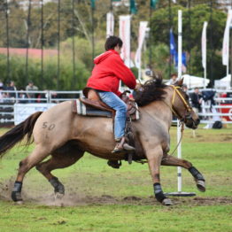 Fotos Expo Prado 2018 - Día 12 (66)