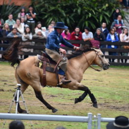 Fotos Expo Prado 2018 - Día 12 (69)