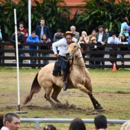 Fotos Expo Prado 2018 - Día 12 (71)