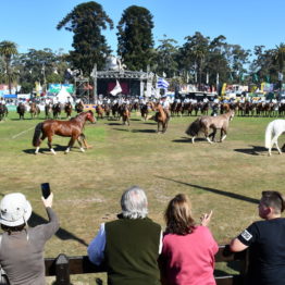 Fotos Expo Prado 2018 - Día 12 (9)