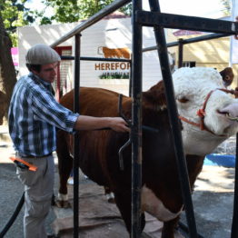 Fotos Expo Prado 2018 - Día 2 (12)