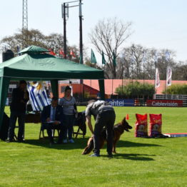 Fotos Expo Prado 2018 - Día 2 (133)