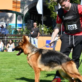 Fotos Expo Prado 2018 - Día 2 (135)