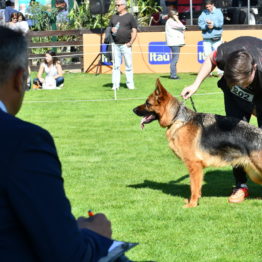 Fotos Expo Prado 2018 - Día 2 (136)