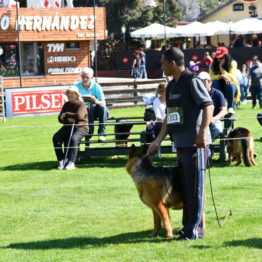 Fotos Expo Prado 2018 - Día 2 (137)