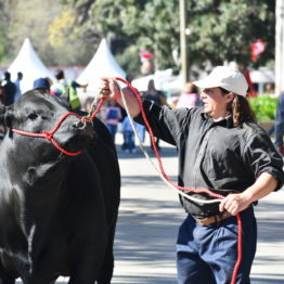 Fotos Expo Prado 2018 - Día 2 (15)