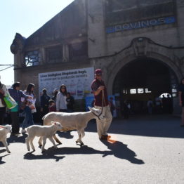 Fotos Expo Prado 2018 - Día 3 (122)