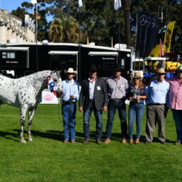 Fotos Expo Prado 2018 - Día 3 (127)