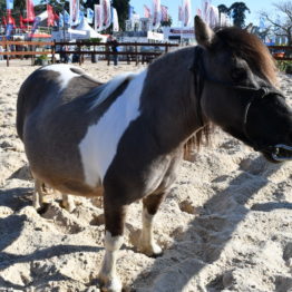 Fotos Expo Prado 2018 - Día 3 (135)