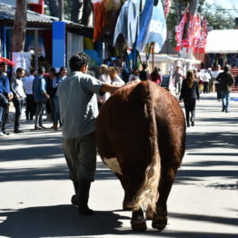 Fotos Expo Prado 2018 - Día 3 (145)