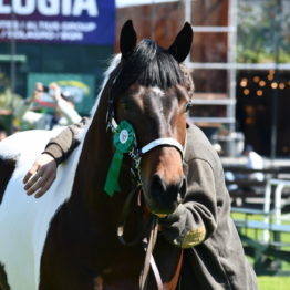 Fotos Expo Prado 2018 - Día 3 (48)