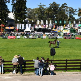 Fotos Expo Prado 2018 - Día 3 (59)