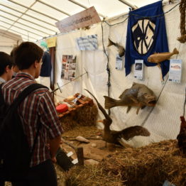 Fotos Expo Prado 2018 - Día 3 (92)