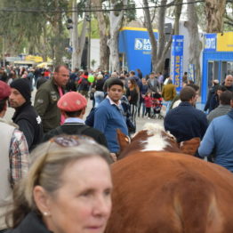 Fotos Expo Prado 2018 - Día 4 (109)