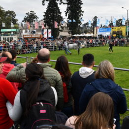 Fotos Expo Prado 2018 - Día 4 (124)