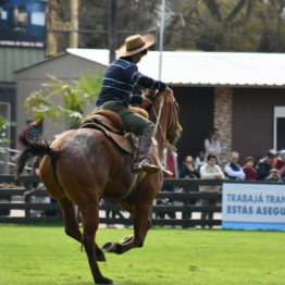 Fotos Expo Prado 2018 - Día 4 (52)