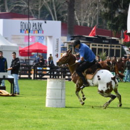 Fotos Expo Prado 2018 - Día 4 (56)