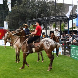 Fotos Expo Prado 2018 - Día 4 (87)