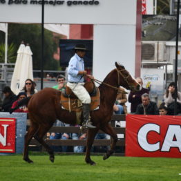 Fotos Expo Prado 2018 - Día 4 (93)