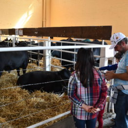 Fotos Expo Prado 2018 - Día 5 (22)