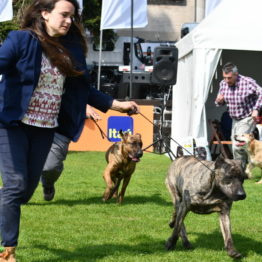 Fotos Expo Prado 2018 - Día 5 (62)