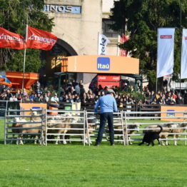 Fotos Expo Prado 2018 - Día 5 (89)