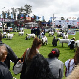 Fotos Expo Prado 2018 - Día 6 (24)