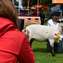 Fotos Expo Prado 2018 - Día 6 (37)