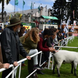 Fotos Expo Prado 2018 - Día 6 (38)