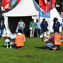 Fotos Expo Prado 2018 - Día 6 (55)