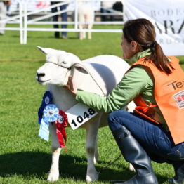 Fotos Expo Prado 2018 - Día 6 (56)