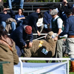 Fotos Expo Prado 2018 - Día 6 (61)