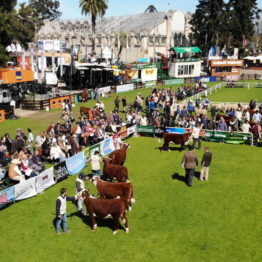 Fotos Expo Prado 2018 - Día 7 (14)