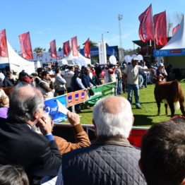 Fotos Expo Prado 2018 - Día 7 (20)