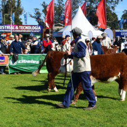 Fotos Expo Prado 2018 - Día 7 (21)