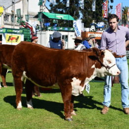 Fotos Expo Prado 2018 - Día 7 (23)