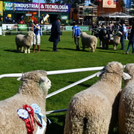 Fotos Expo Prado 2018 - Día 7 (24)