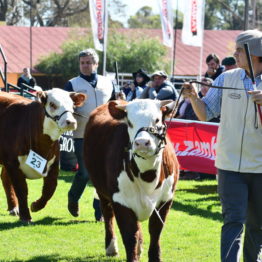 Fotos Expo Prado 2018 - Día 7 (28)