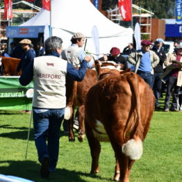 Fotos Expo Prado 2018 - Día 7 (29)